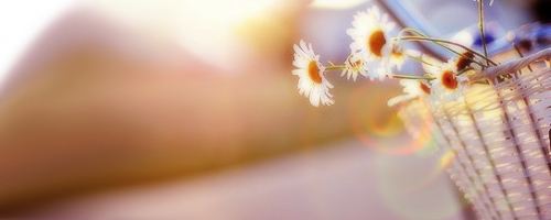 2020年成人高考浙江现场确认流程