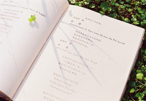 2020年浙江成人高考考试时间在什么时候？