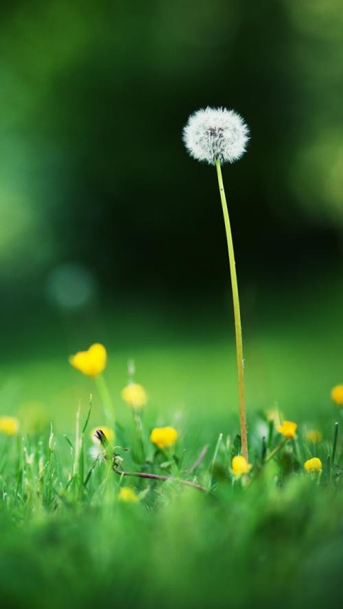 2020年初中学历可以报考参加浙江成考吗?(图1) 初中学历可以报考参加浙江成考吗?