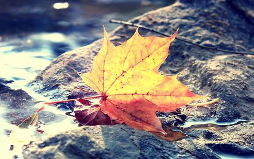 报考浙江成考有年龄限制吗？