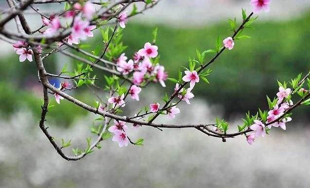 浙江省成人高考参加考试后几月份入学？