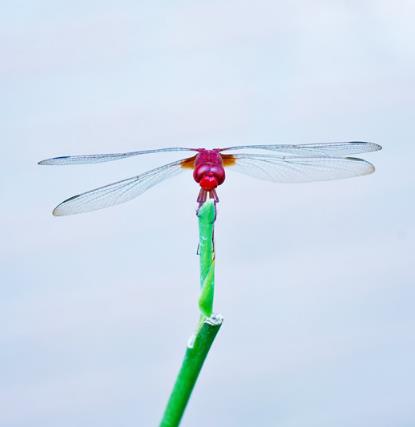 浙江函授大专跟普通大专有什么区别？