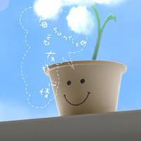 杭州函授大专报名条件要求有哪些?