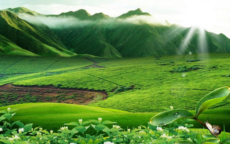 英语零基础怎么备考浙江成人高考呢？