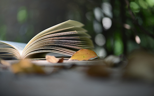 浙江温岭成考哪些考生需要加试？